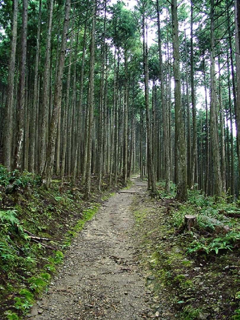 Kumanokodo 2 Days Walking Tour from Osaka2