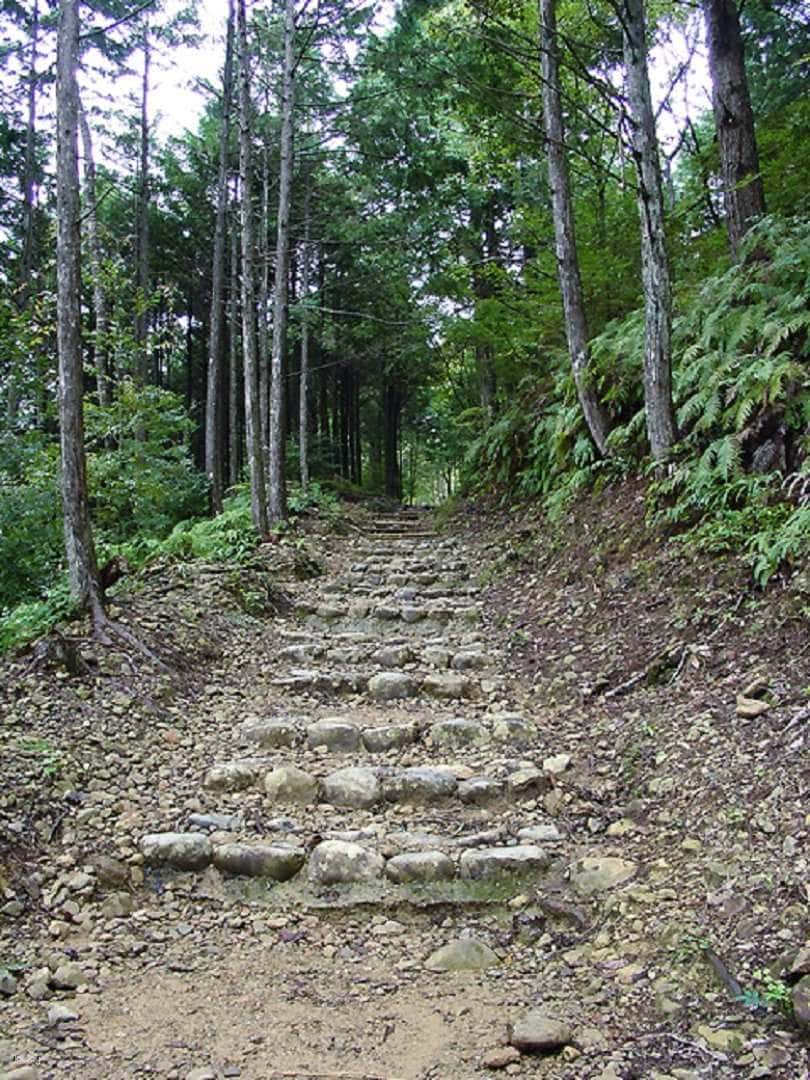 Kumanokodo 2 Days Walking Tour from Osaka3