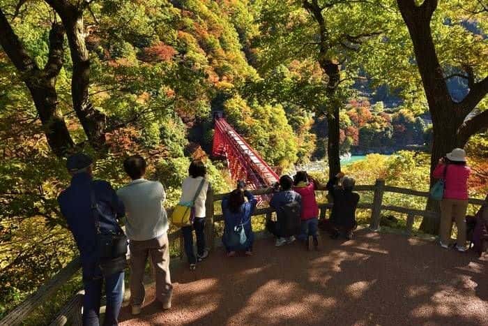 Kurobe Gorge Sightseeing Train4