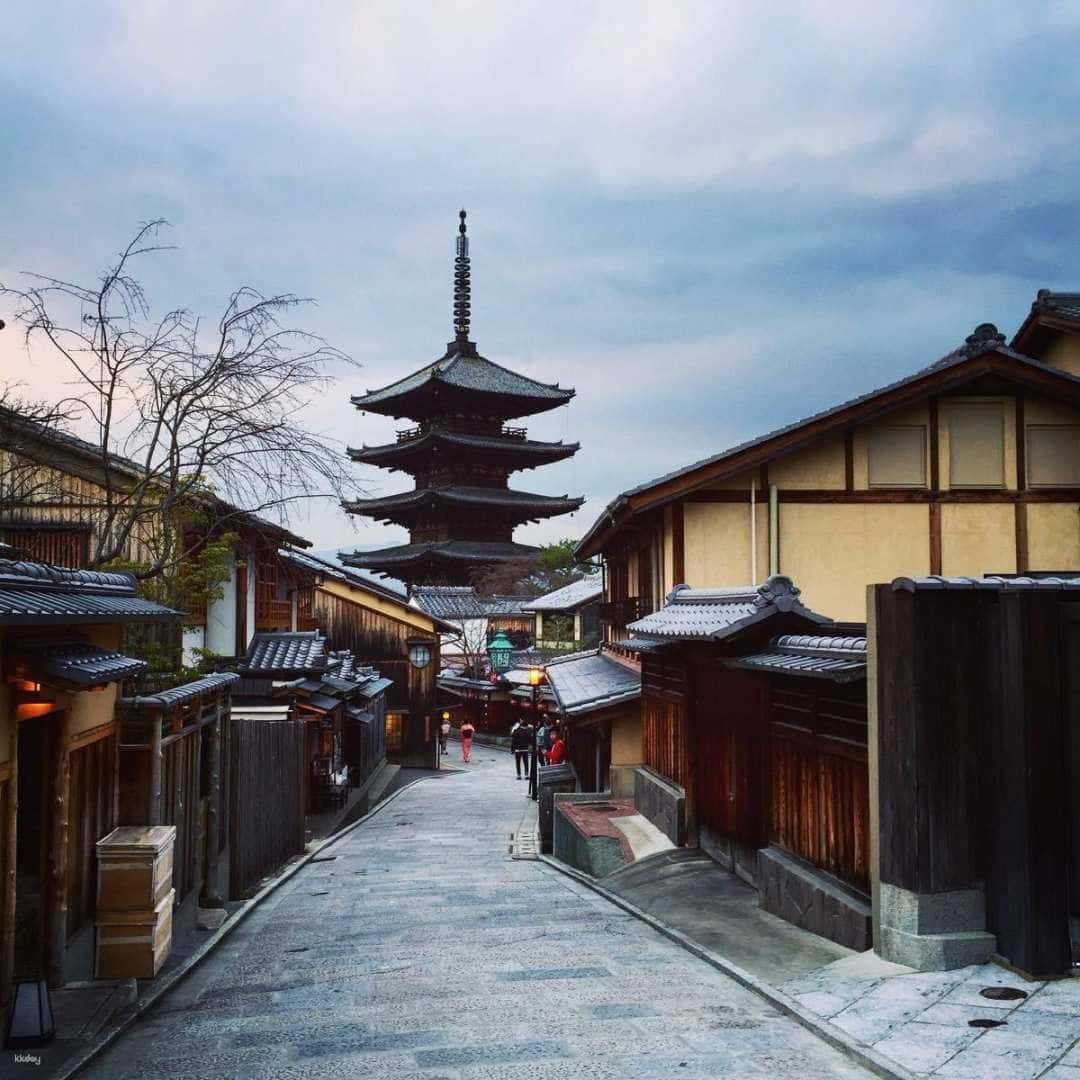 Kyoto & Nara Day Tour from Osaka/Kyoto: Fushimi Inari Taisha Shrine, Arashiyama & Nara Park with Japanese Lunch Option3