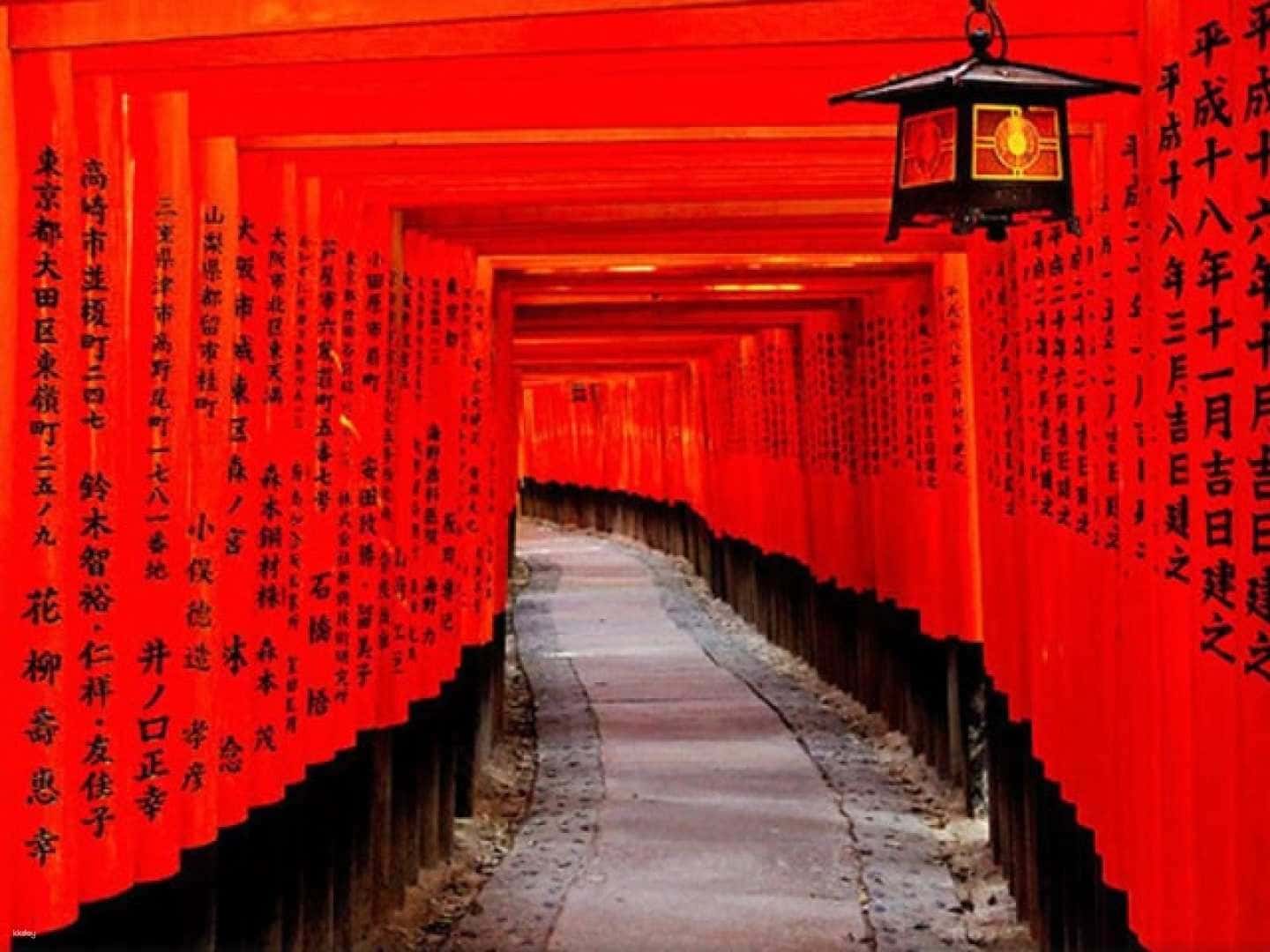 Kyoto & Nara Day Tour from Osaka/Kyoto: Fushimi Inari Taisha Shrine, Arashiyama & Nara Park with Japanese Lunch Option2