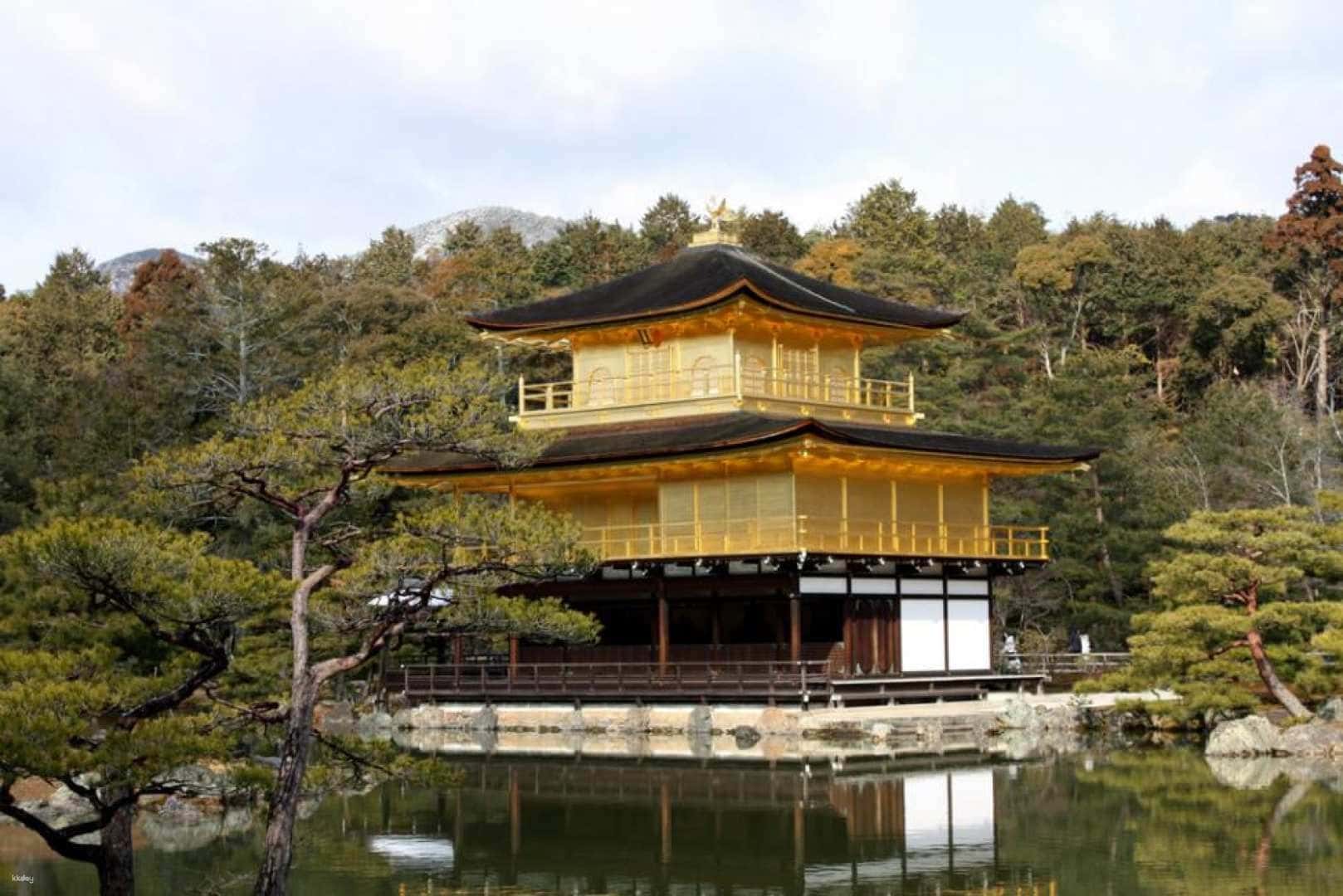 Kyoto & Nara Day Tour from Osaka/Kyoto: Fushimi Inari Taisha Shrine, Arashiyama & Nara Park with Japanese Lunch Option4
