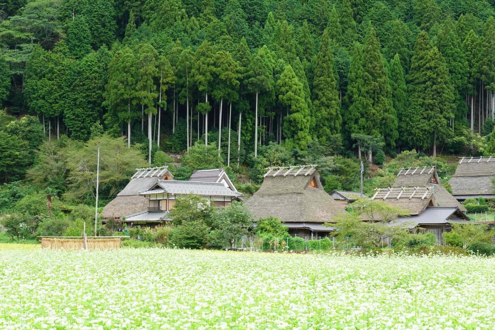 Kyoto Healing Village Miyama Thatched Sato One Day Tour from Osaka1