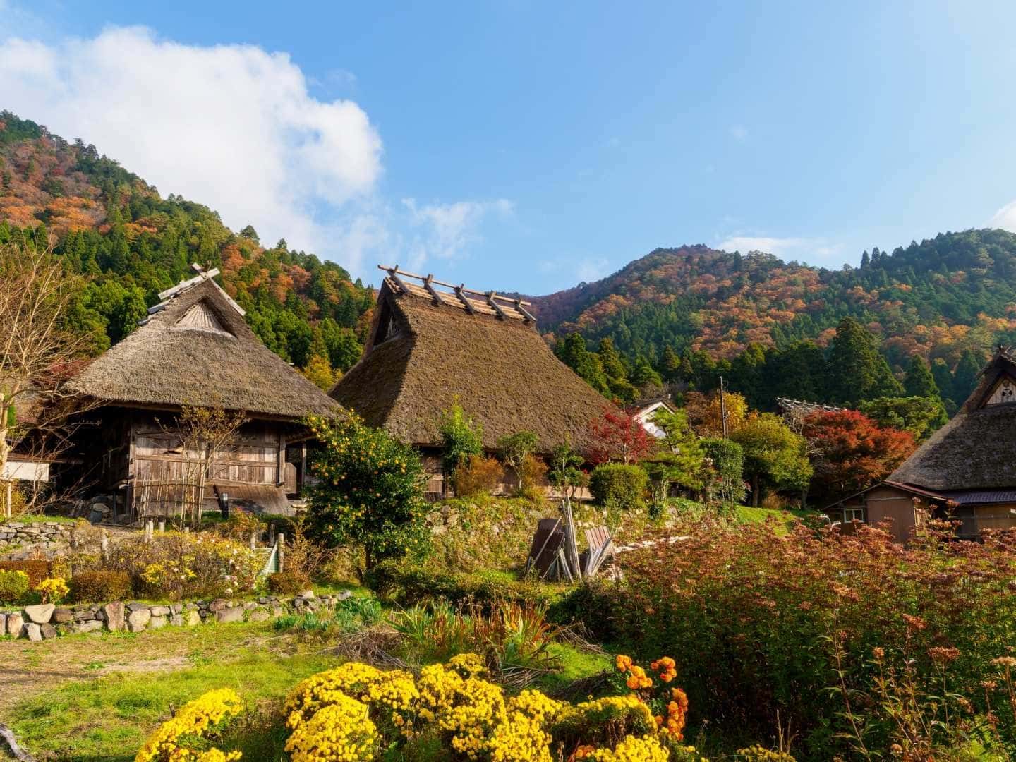 Kyoto Healing Village Miyama Thatched Sato One Day Tour from Osaka2