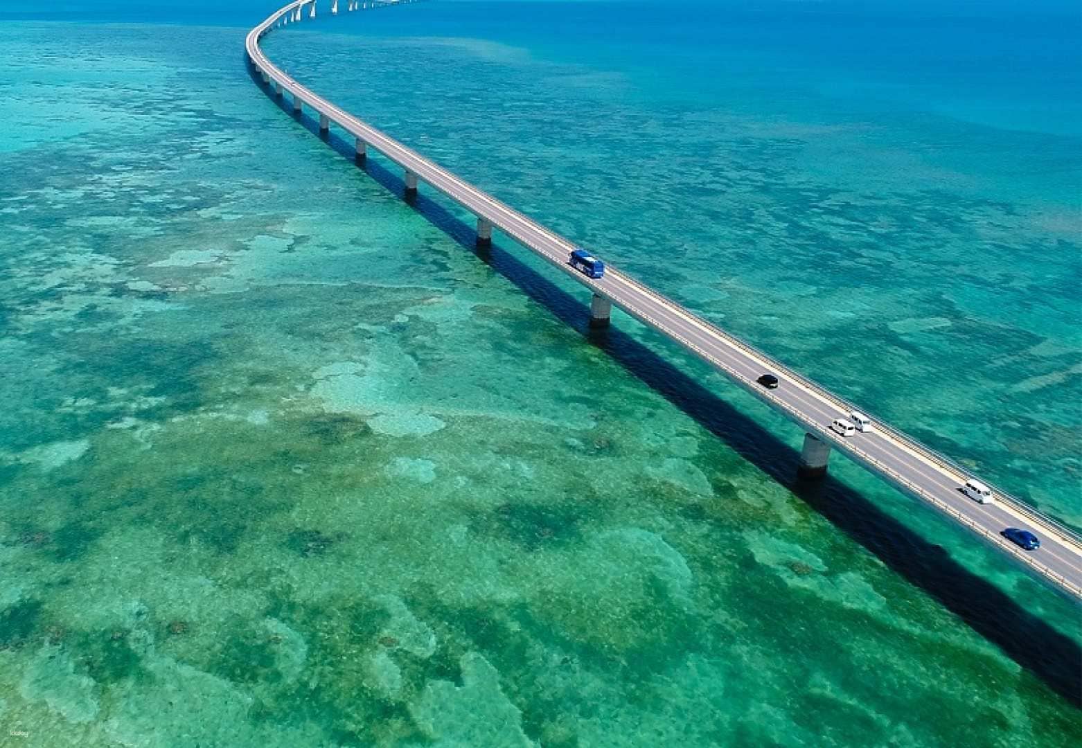 ลีเลียทริป ทัวร์รถบัสชมวิว มิยาโกจิมะ 1 วัน | จังหวัดโอกินาว่า