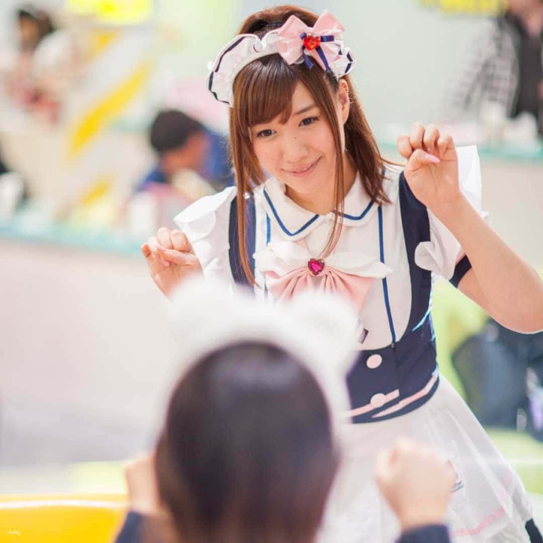 Maidreamin Maid Cafe Experience | Tokyo | Osaka | Shinjuku | Shibuya | Osu | Sapporo3