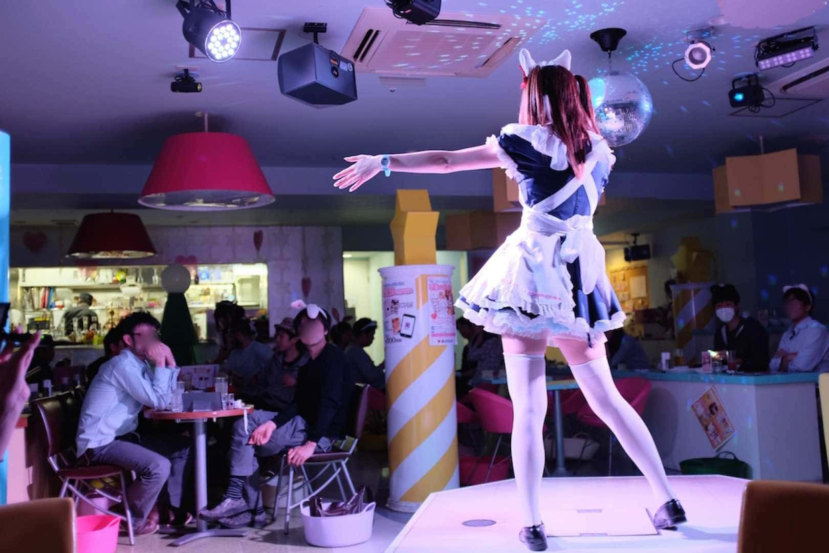 Maidreamin Maid Cafe Experience | Tokyo | Osaka | Shinjuku | Shibuya | Osu | Sapporo1