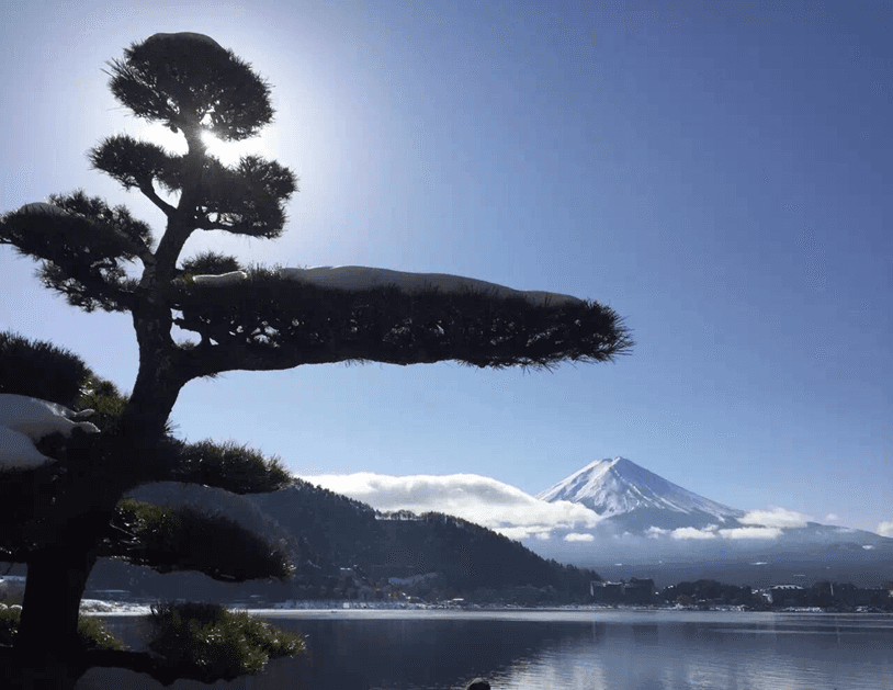 Mount Fuji Day Trip