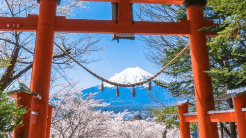 Mount Fuji Day Trip1