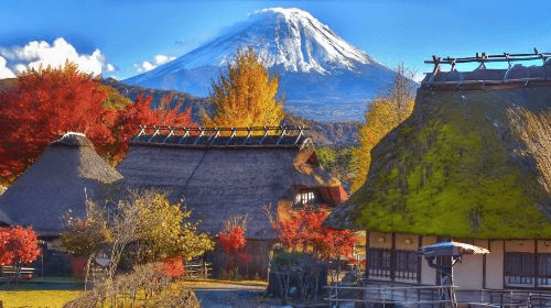 Mount Fuji Day Trip3
