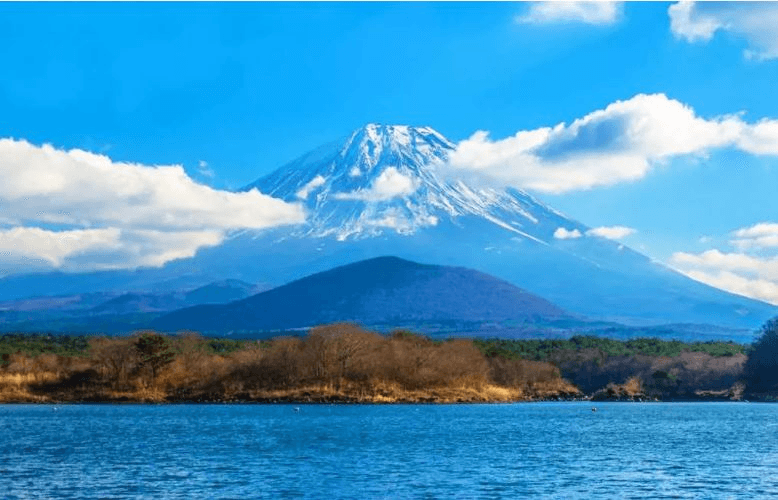 Mount Fuji Day Trip4