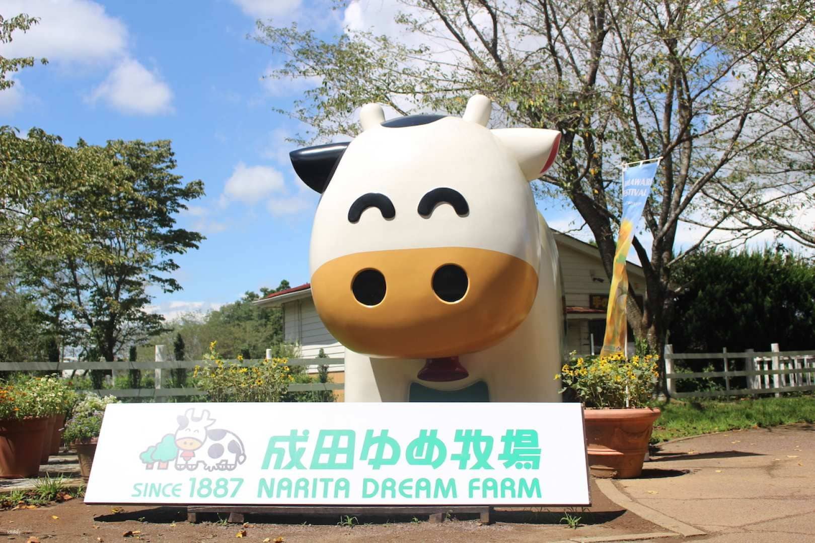 Narita Dream Dairy Farm|Advance Sale Admission Ticket|Reservation Confirmed Immediately