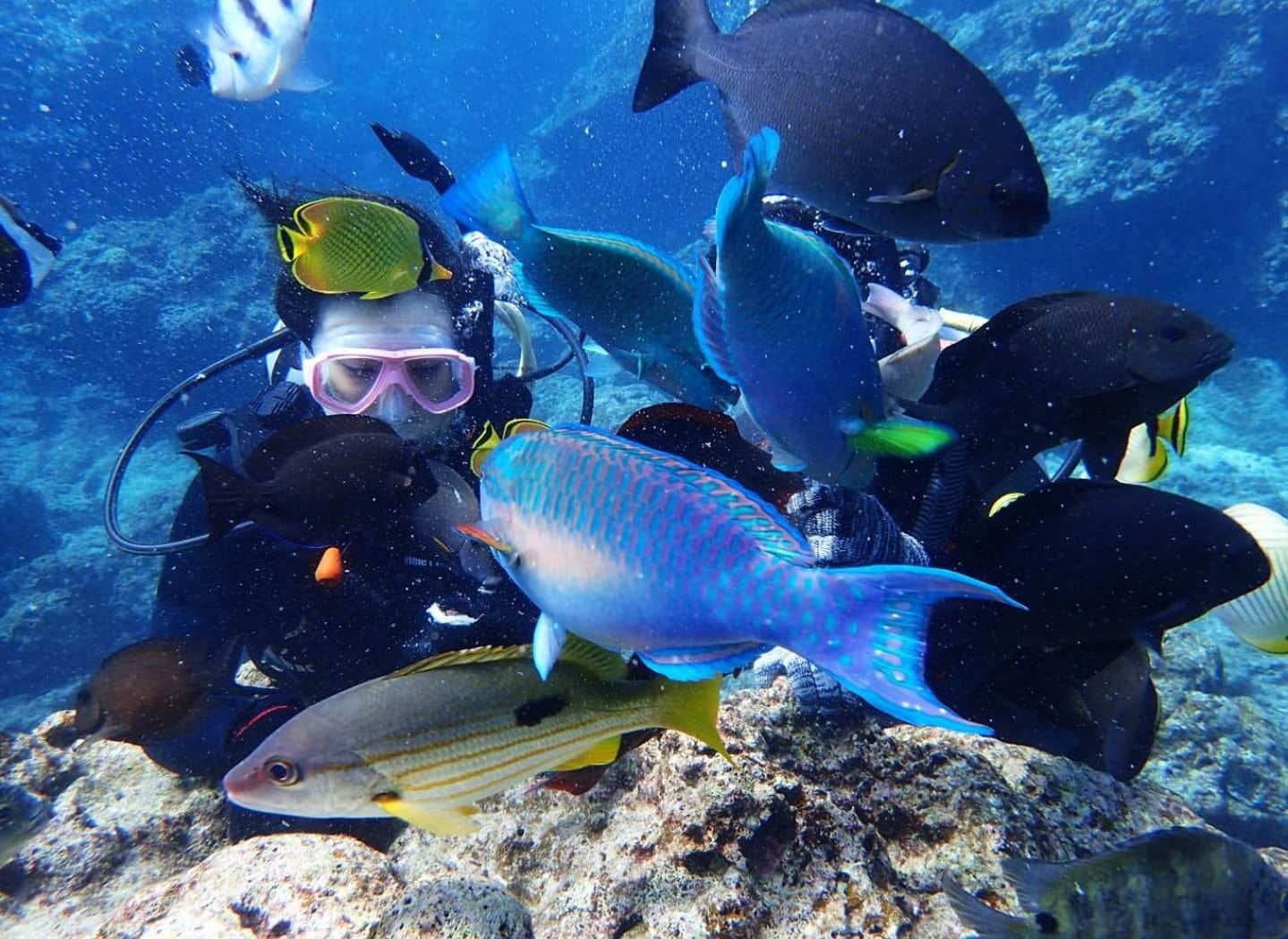 Onna Village Blue Cave Scuba and Snorkeling Experience
