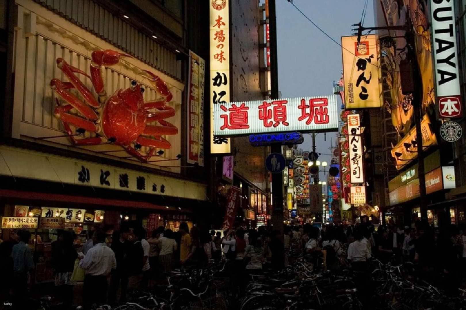 Osaka Night Food Tour