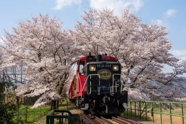 รถไฟชมวิวซากาโนะ