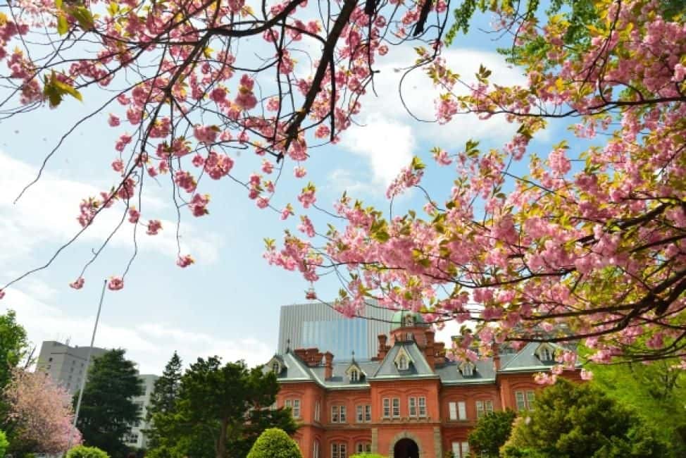 Sapporo Walking Tour (Afternoon)2