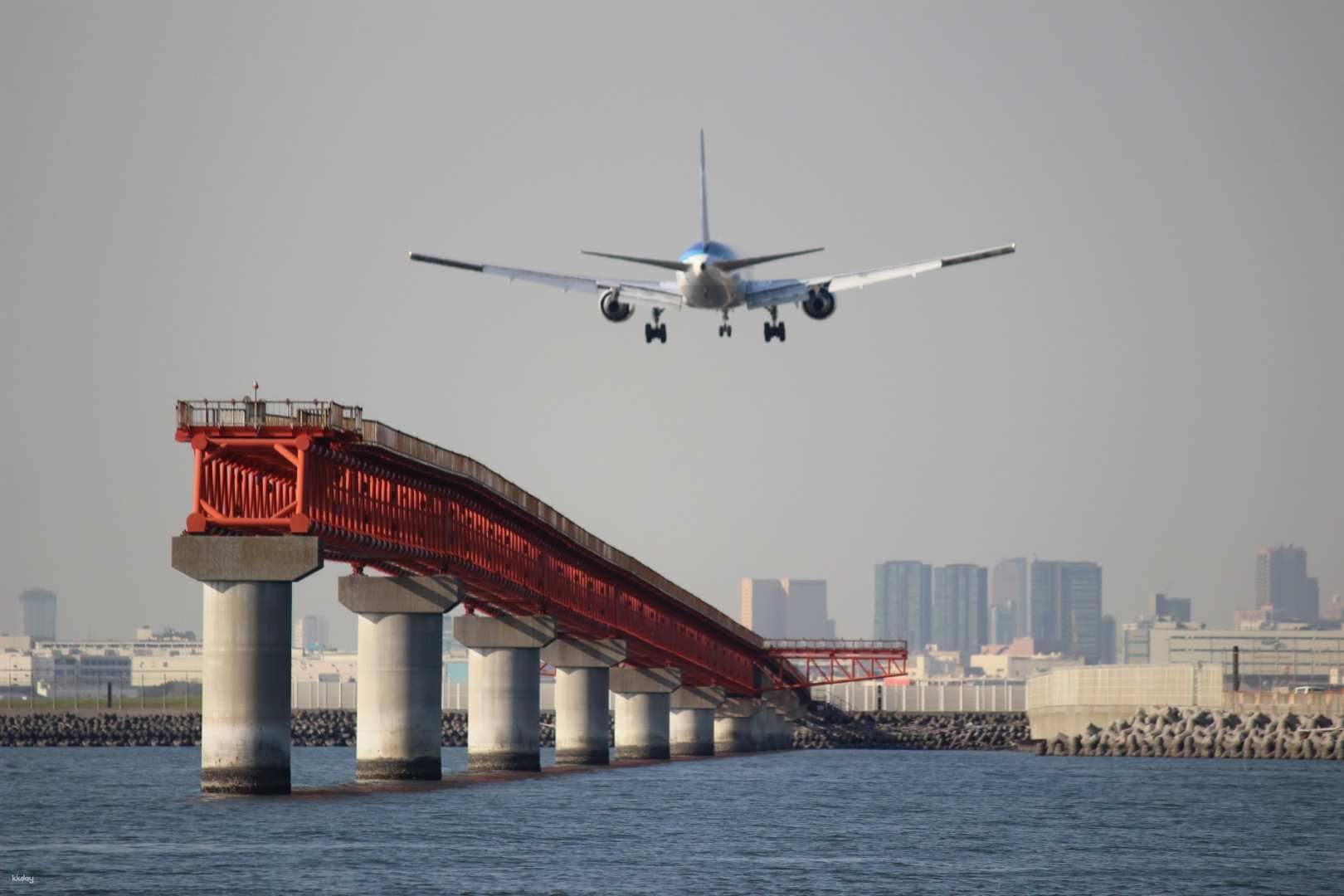 Sea Bass Haneda Cruise Departing from Yokohama Sta. East Exit