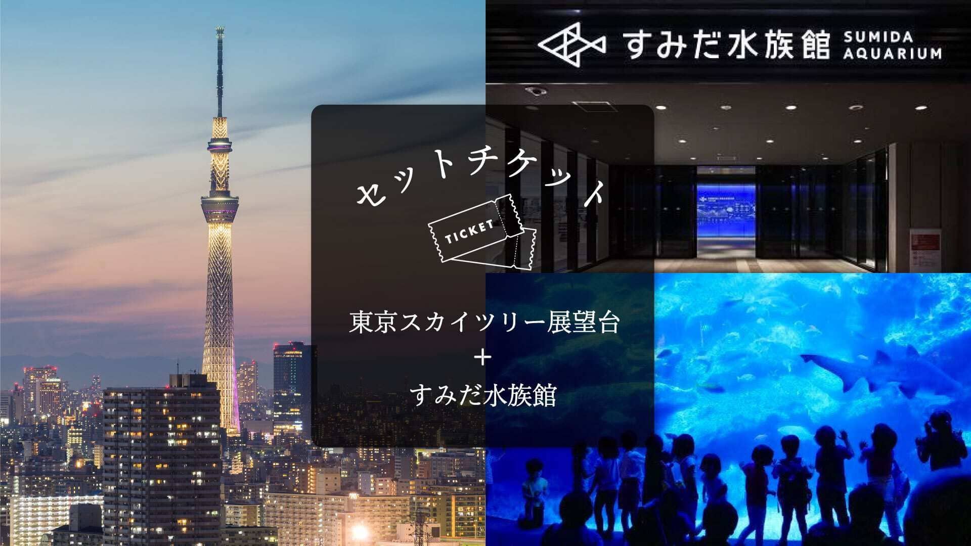 Skytree Enjoy Pack: Tokyo Skytree & Sumida Aquarium Tickets | Japan