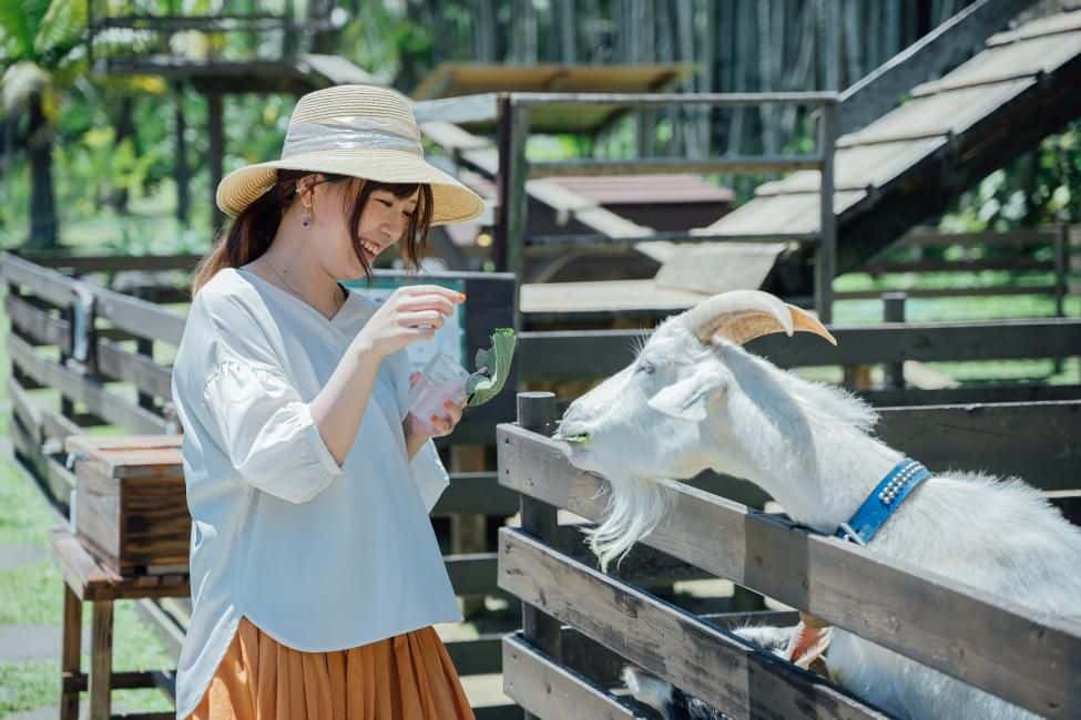 Southeast Botanical Gardens Admission Ticket | Okinawa, Japan1