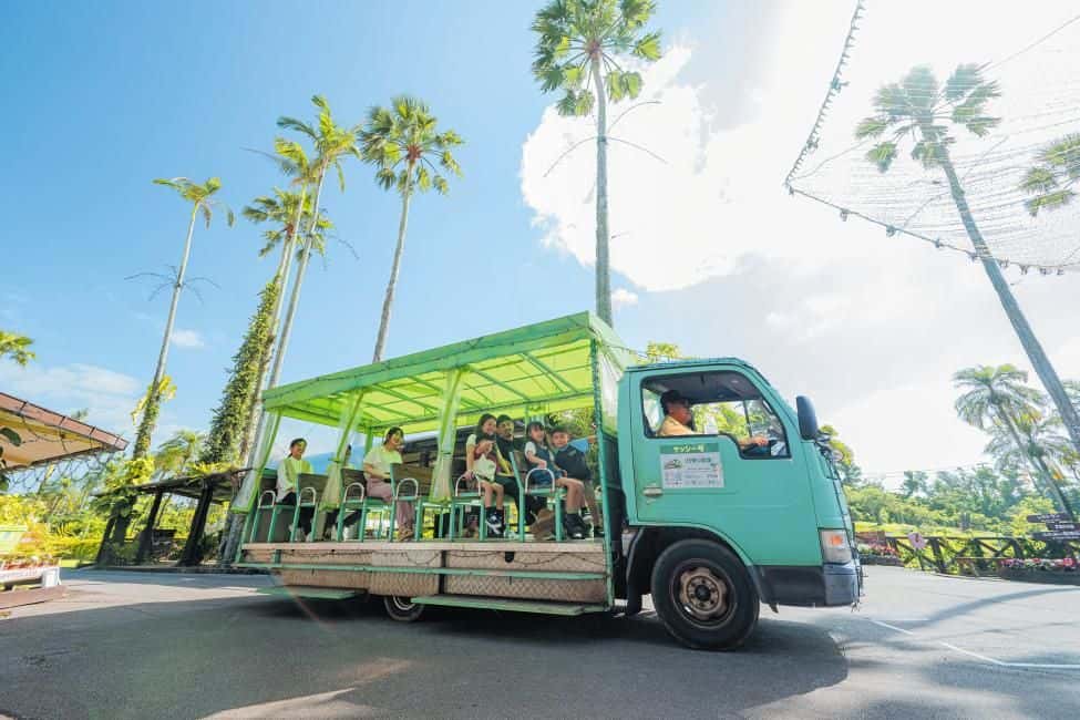 Southeast Botanical Gardens Admission Ticket | Okinawa, Japan2