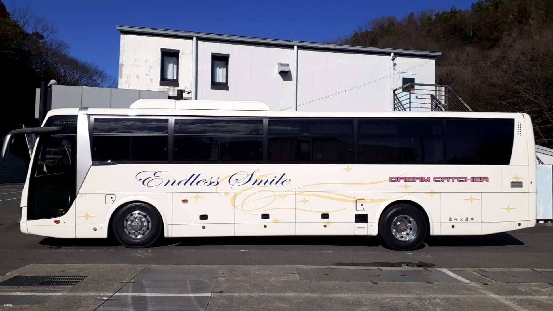 Tokyo Disney Resort One-Way/Round-Trip Shuttle Bus Transfer from Shinjuku|Japan