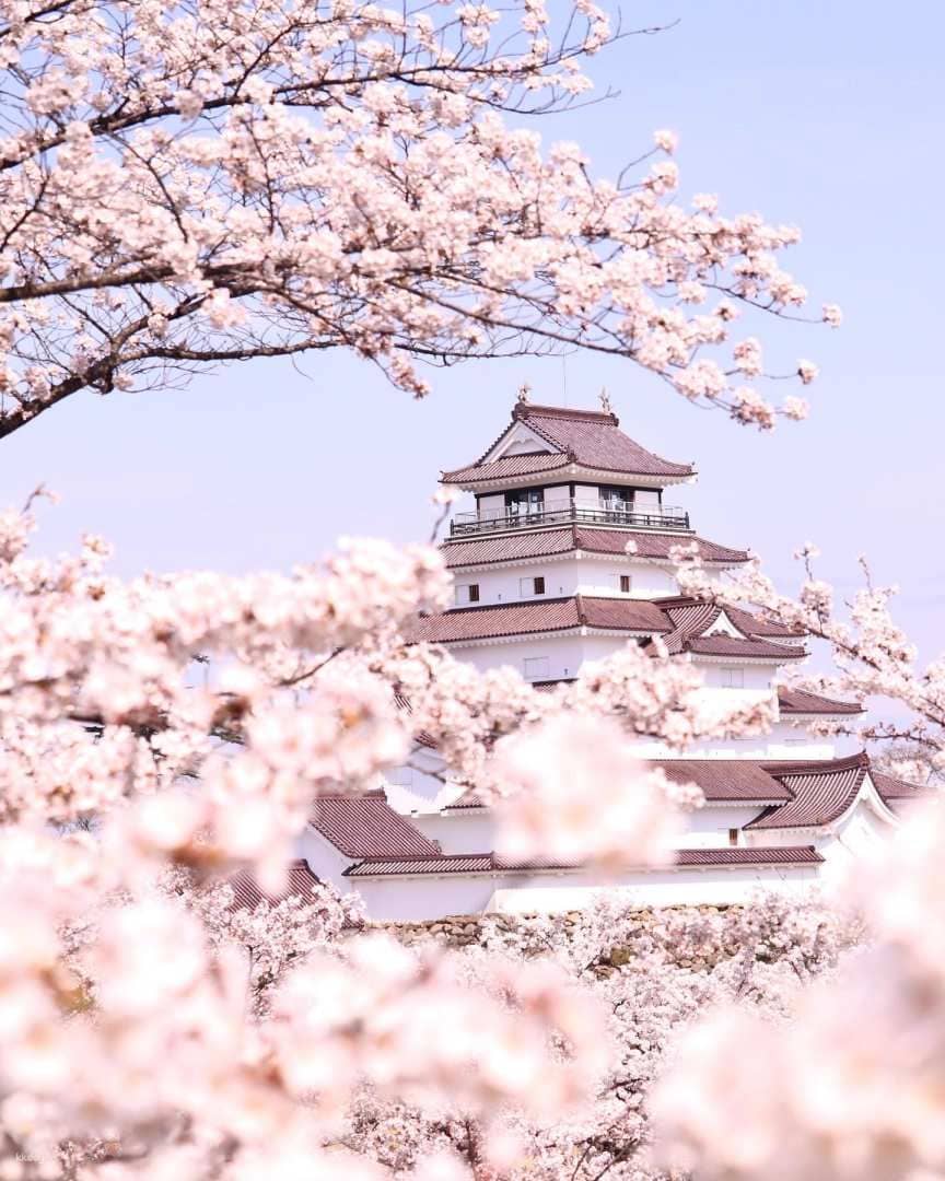 Tsurugajo Castle Admission Ticket (Castle + Rinkaku Teahouse)