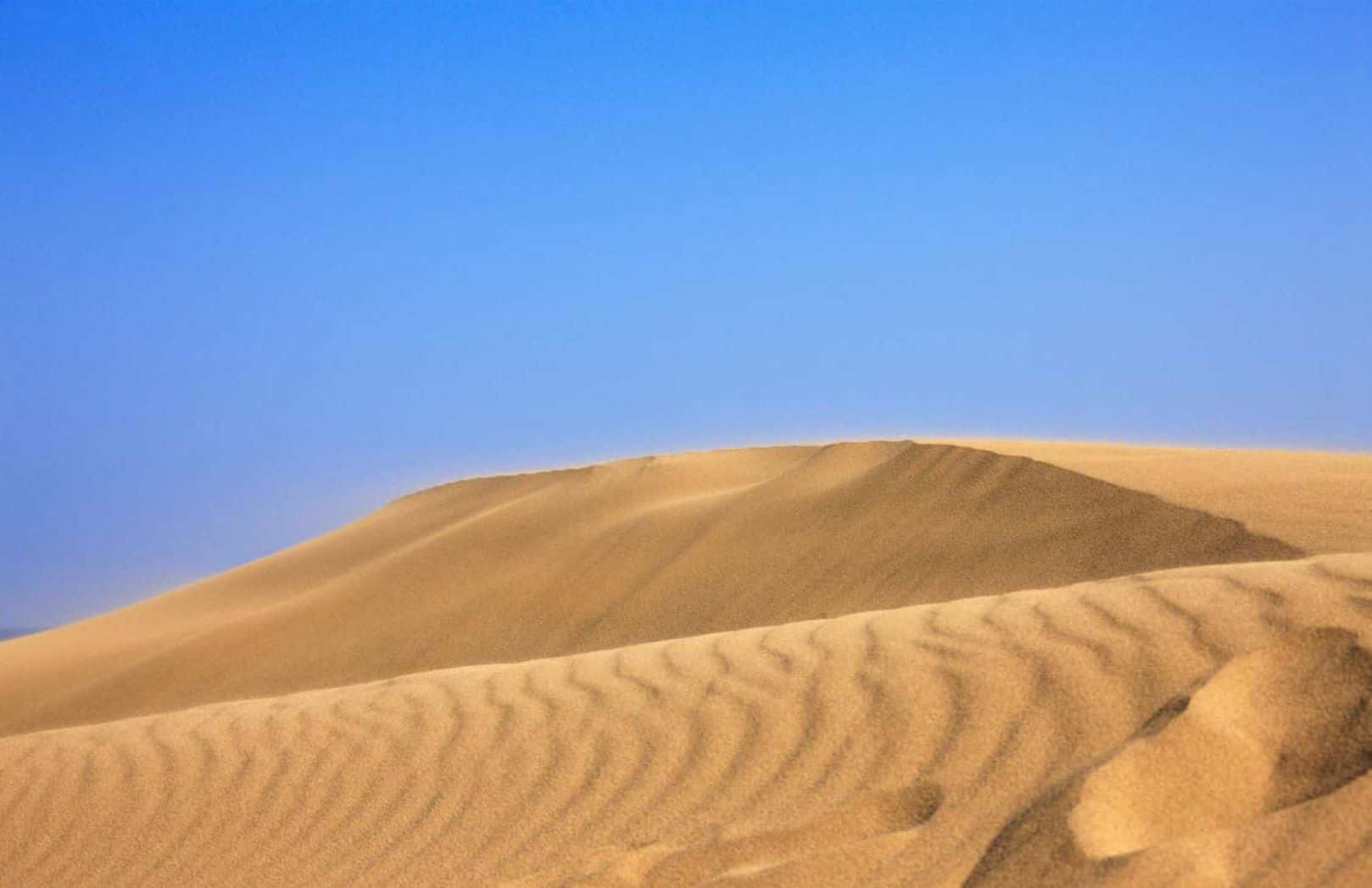 Uratomi Coast Cruise & Tottori Sand Dunes and Sand Museum Day Tour from Osaka2