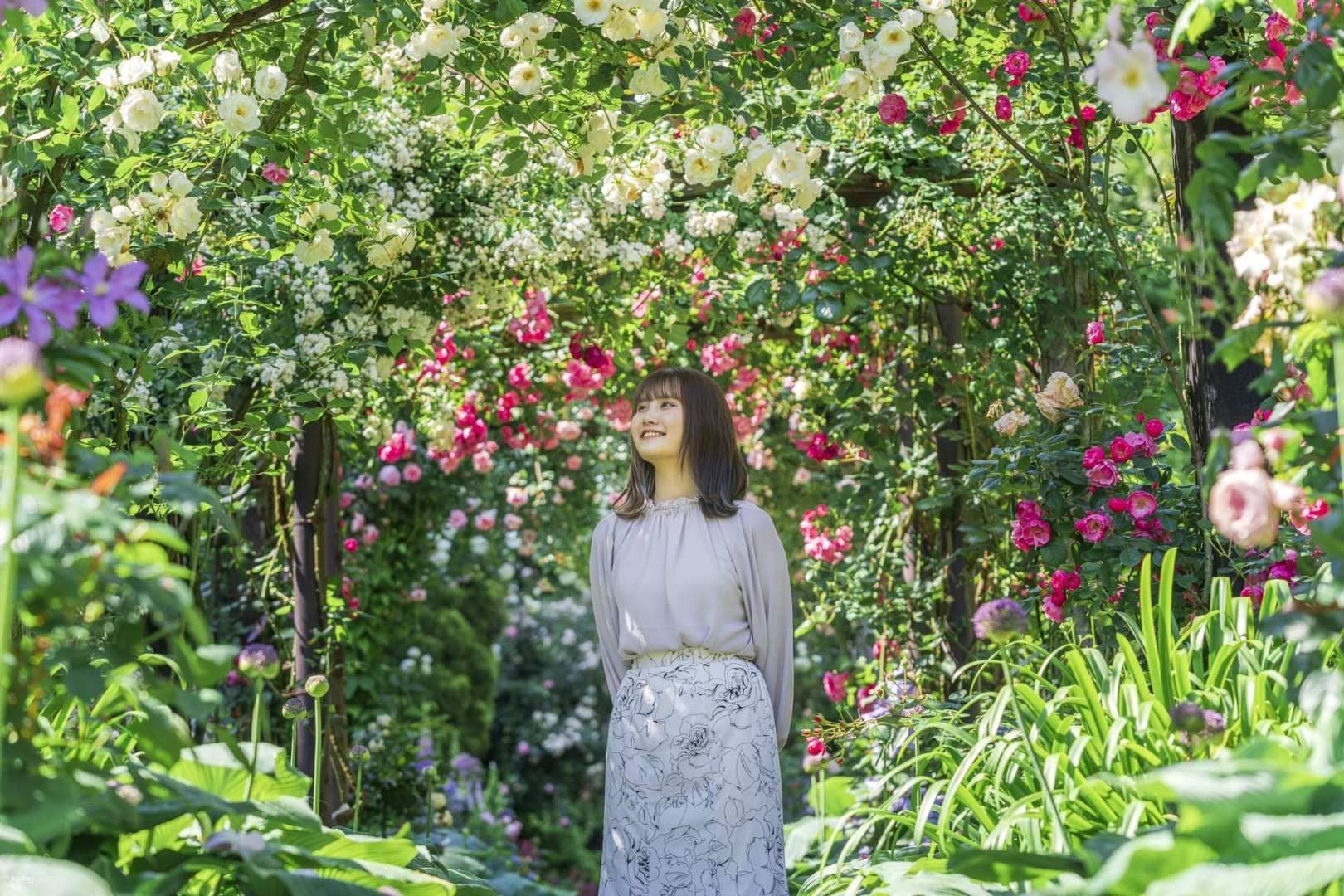 Acao Forest (Akao Herb & Rose Garden): Advance Ticket/Handmade Experience | Shizuoka
