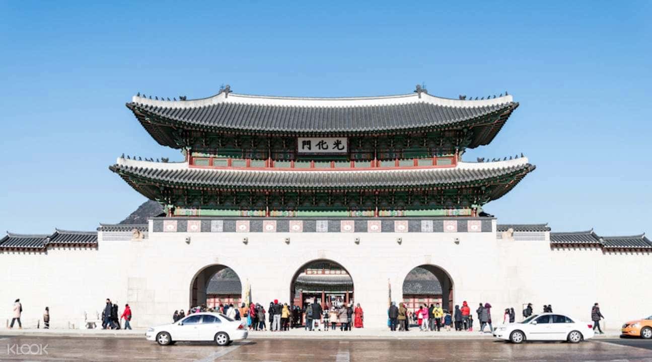 Alpaca Pasture, Nami Island, and The Garden of Morning Calm Day Tour from Seoul4