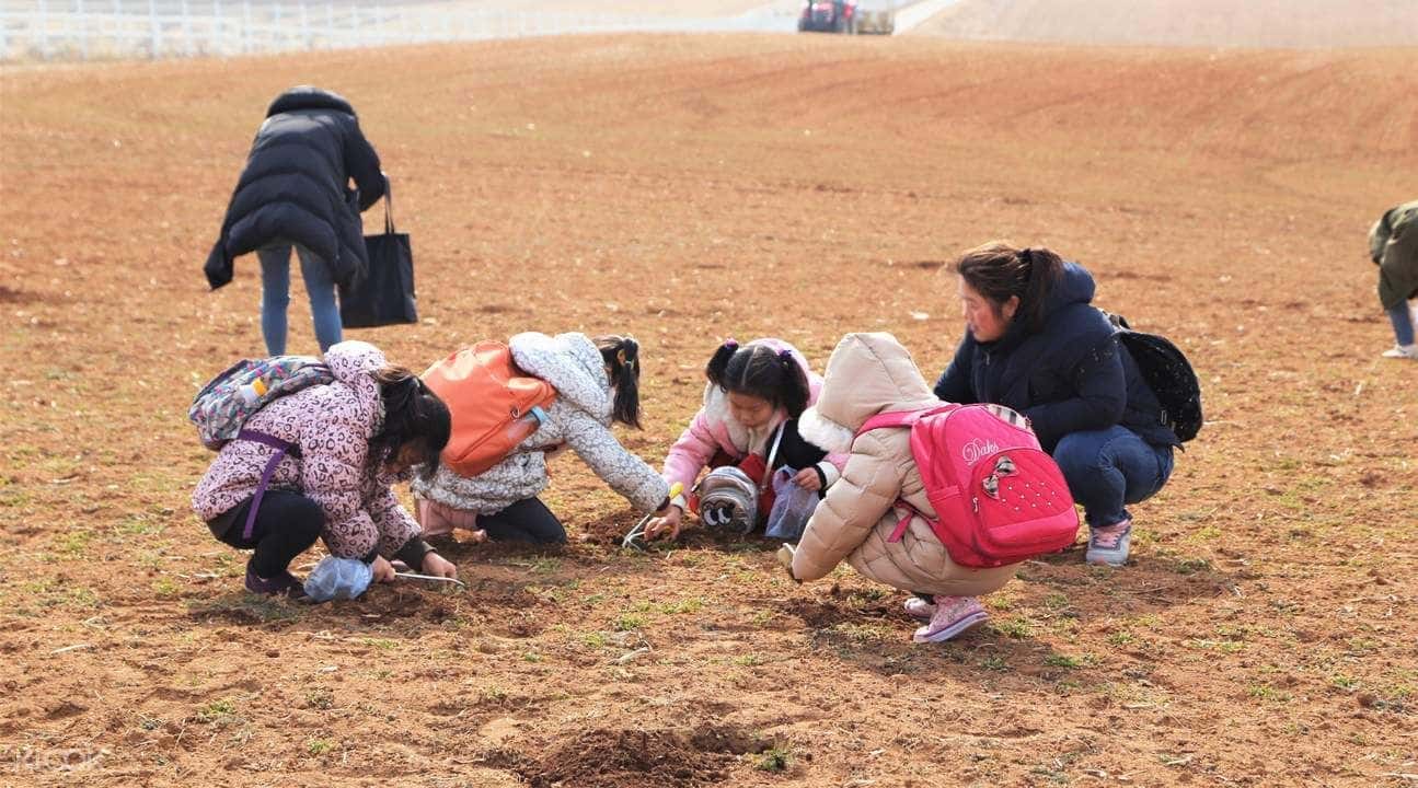 Anseong Inchegol Village and Anseong Farmland Day Trip from Seoul2