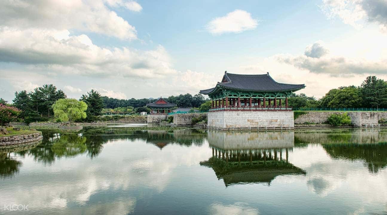Busan and Gyeongju Private Customized Tour1