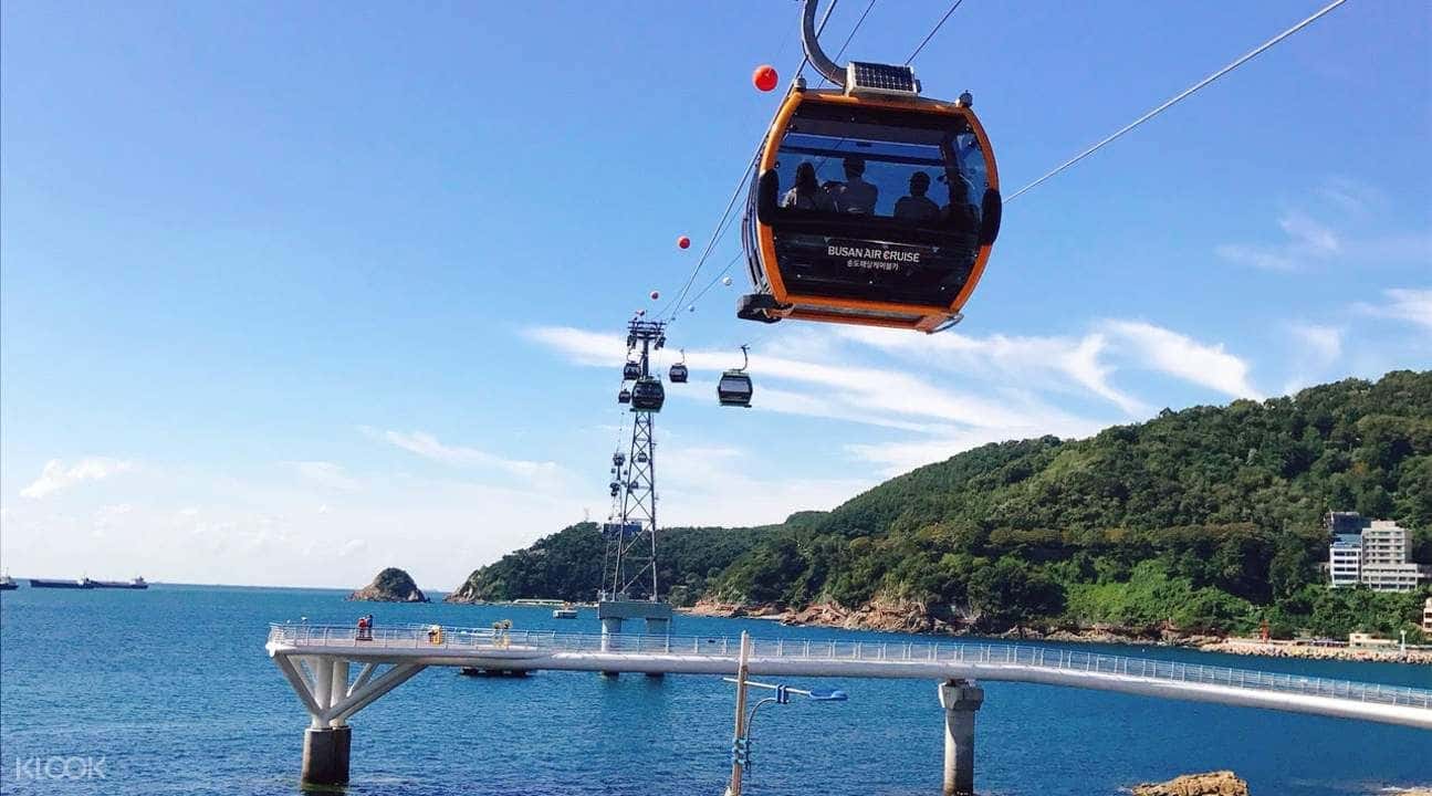 Busan and Gyeongju Private Customized Tour4