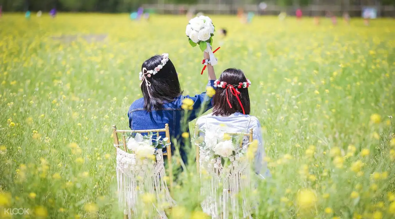 Busan Canola Flower Festival Trip3