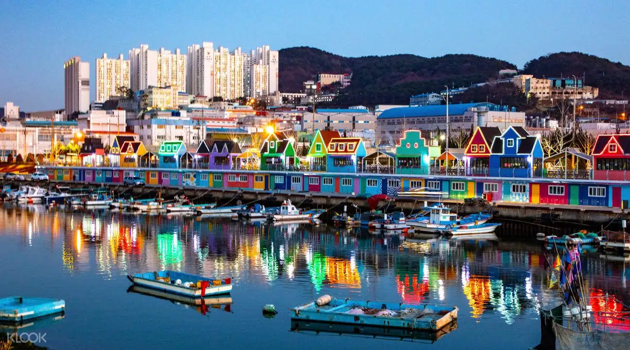 Busan Canola Flower Festival Trip4