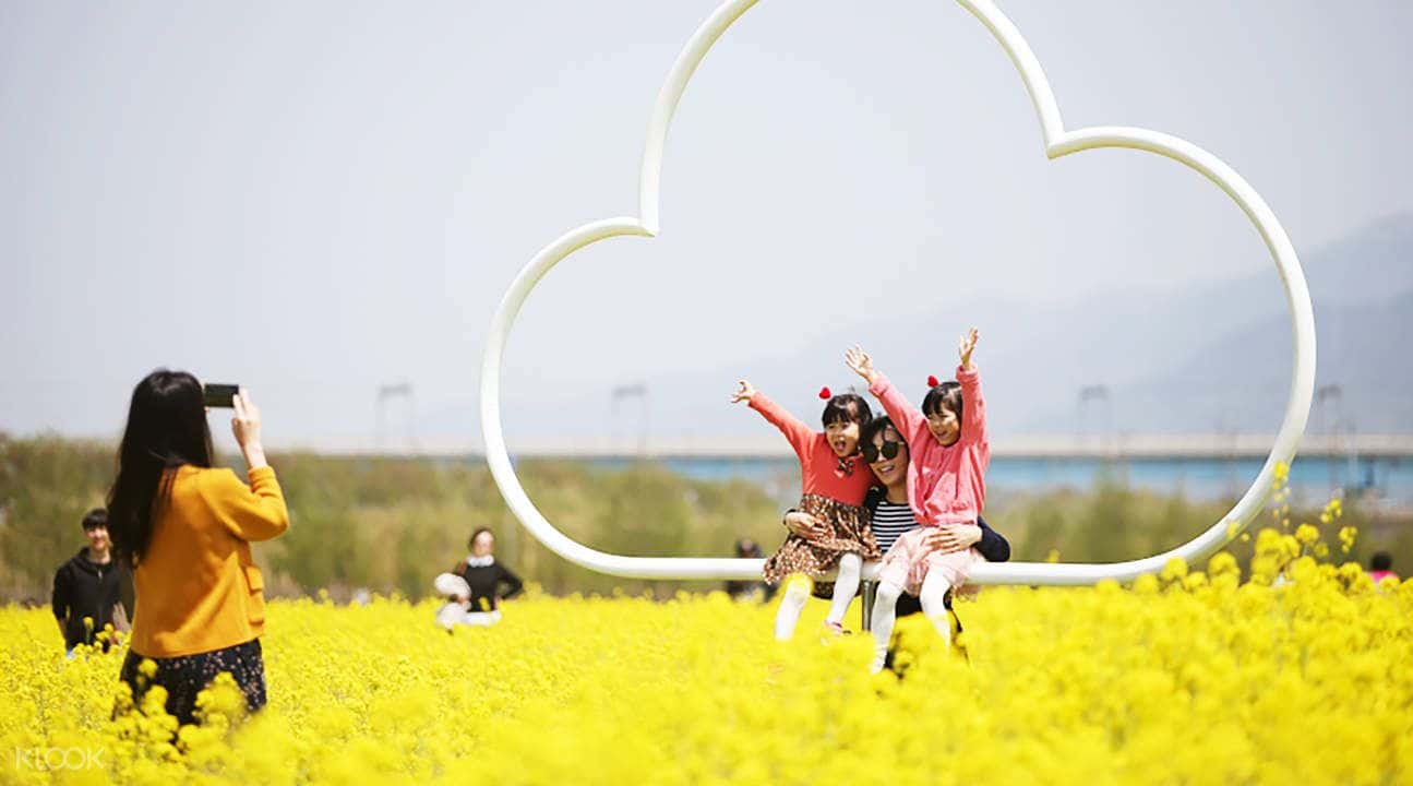Busan Canola Flower Festival Trip1