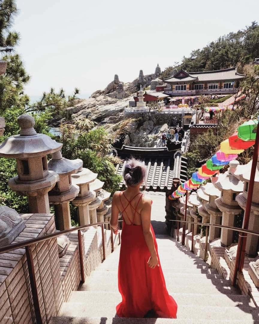 Busan One Day Tour: Gamcheon Culture Village, Haeundae Blueline park | South Korea1