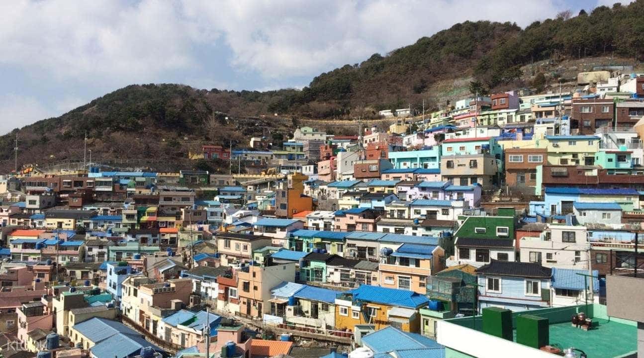 Busan Wall Painting Village Tour1