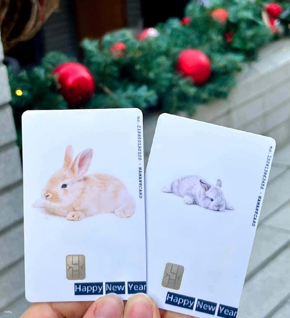 Customizable Prepaid Debit Card - Namane Card (Foreigners Only) | Korea2