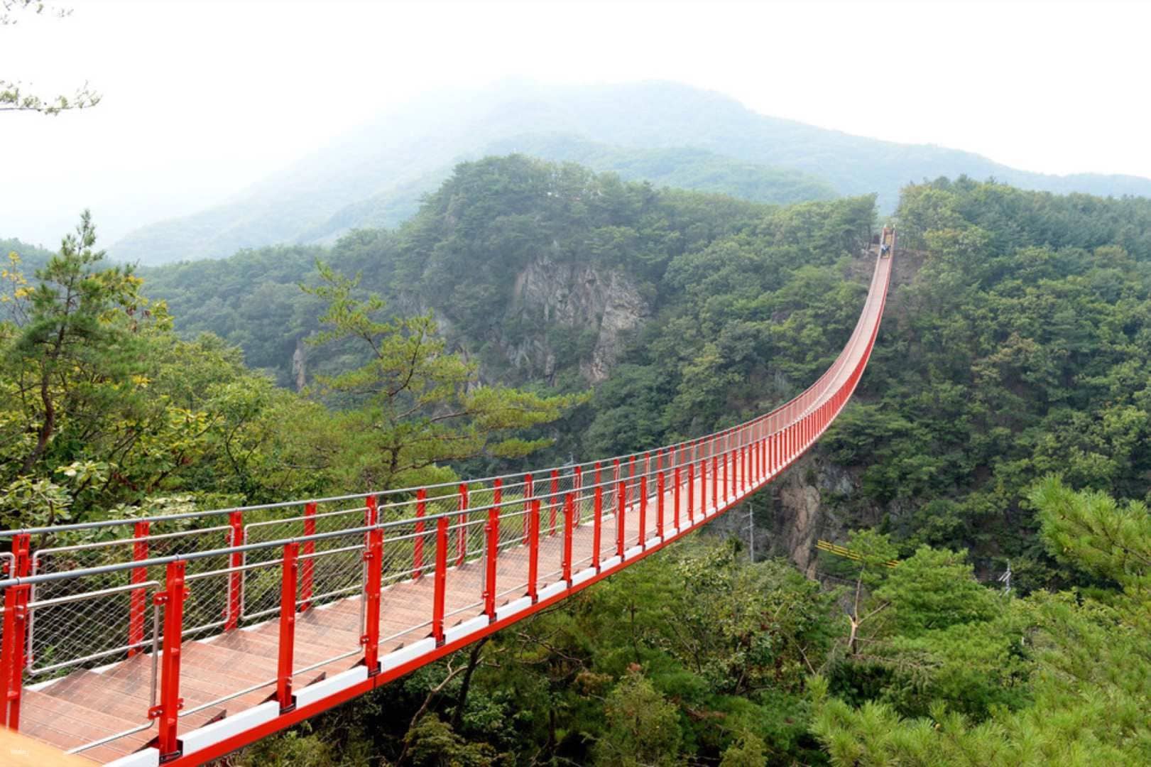 DMZ Day Tour: 3rd Invasion Tunnel & Gamaksan Suspension Bridge | South Korea