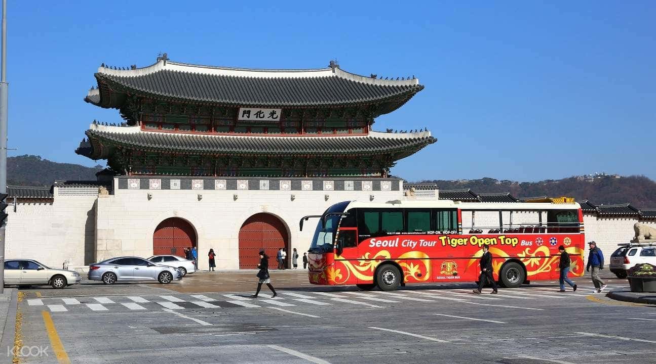 DMZ Tour from Seoul + Seoul City Tour Bus Ticket3