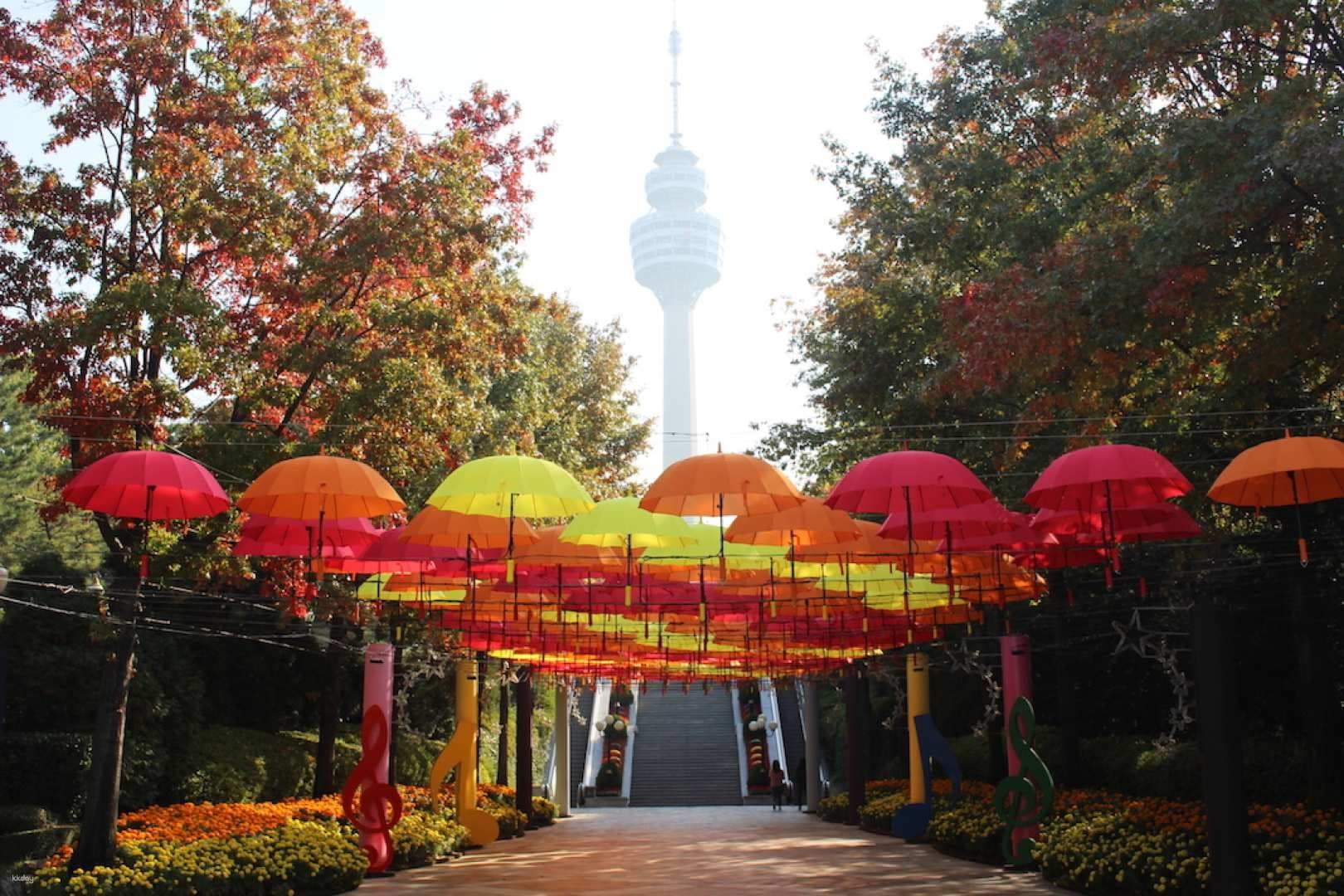 E-World Park & 83 Tower: Admission Ticket | Daegu, South Korea