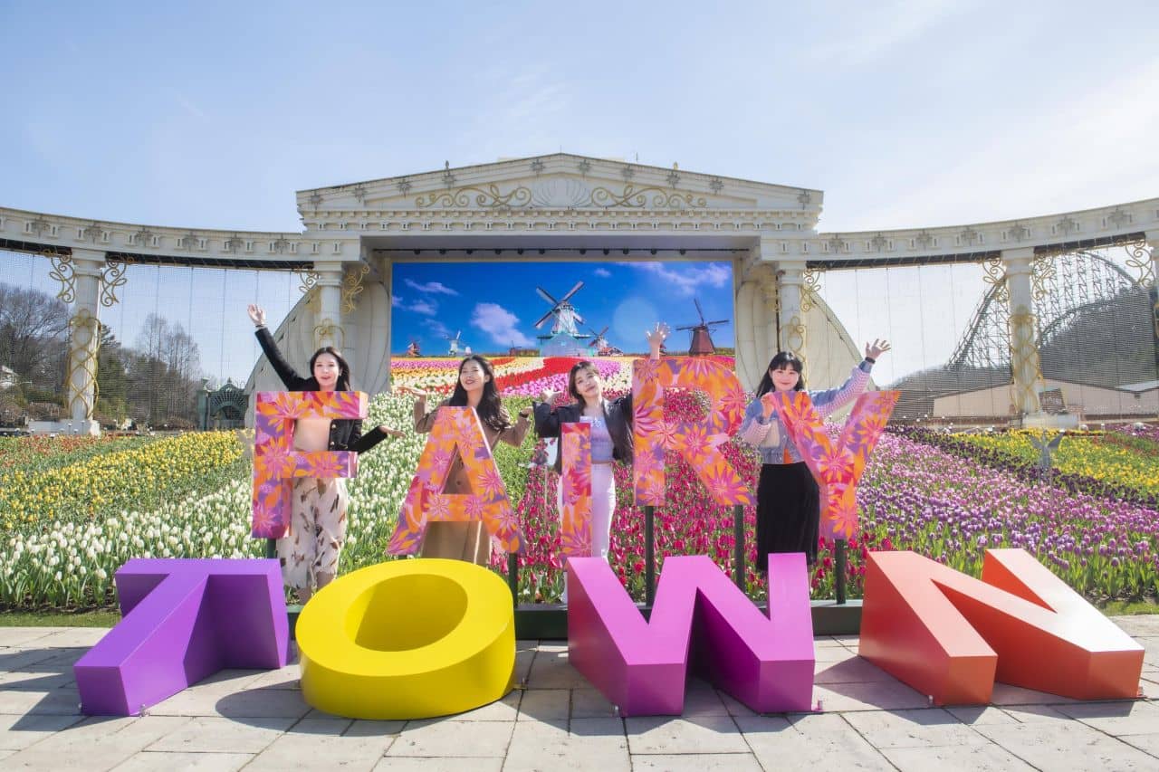 Everland Amusement Park Package Tour