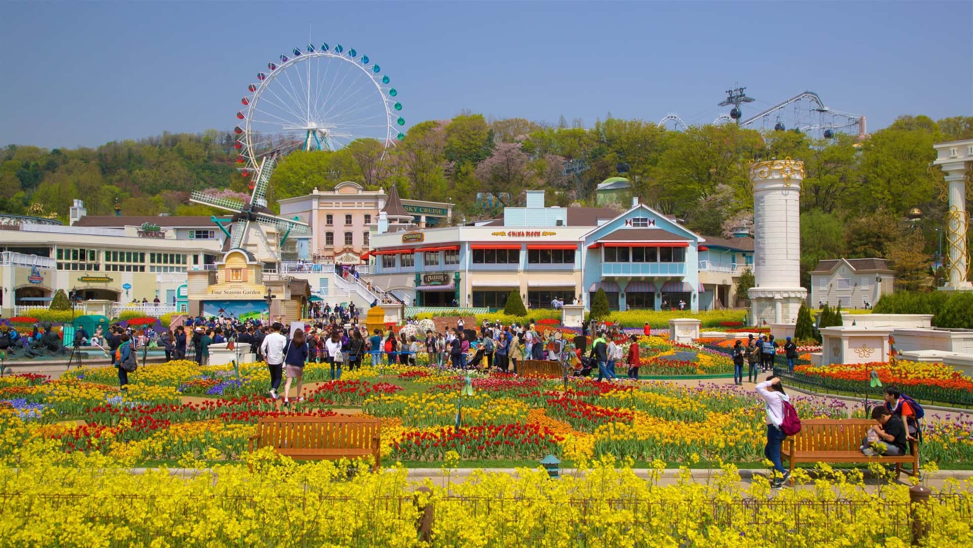 Everland Amusement Park Package Tour3