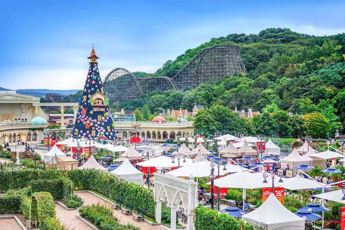 Everland Amusement Park Package Tour4