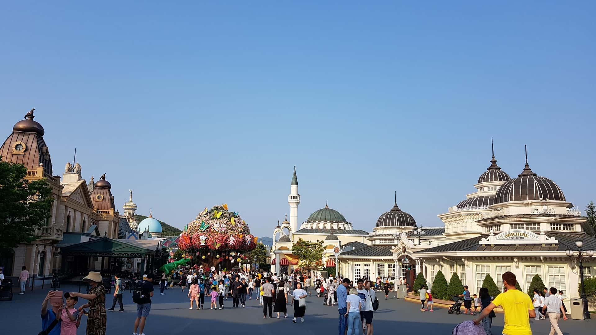 Everland Amusement Park Package Tour2