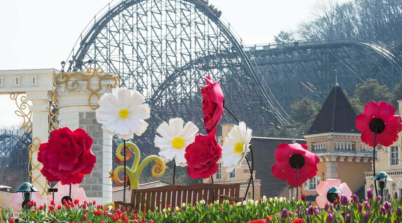 Everland Full Day Trip with Admission and Transfers from Seoul3