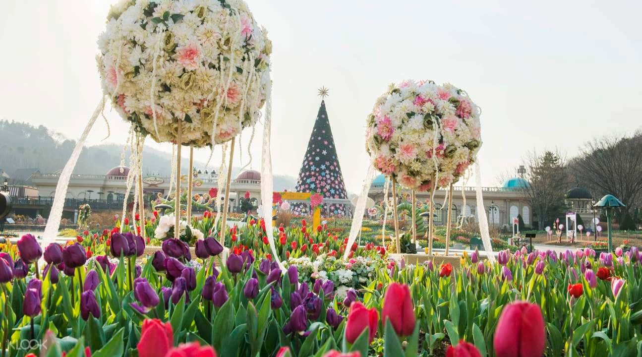 Everland Full Day Trip with Admission and Transfers from Seoul1