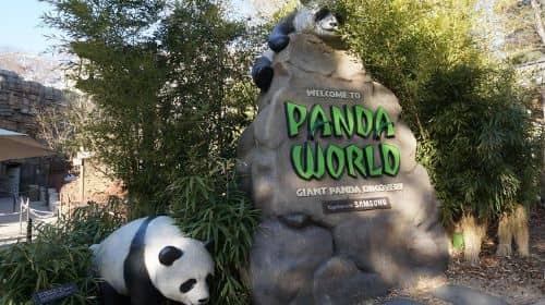 Everland Private Shuttle Total Private Tour: More Members Less Cost
