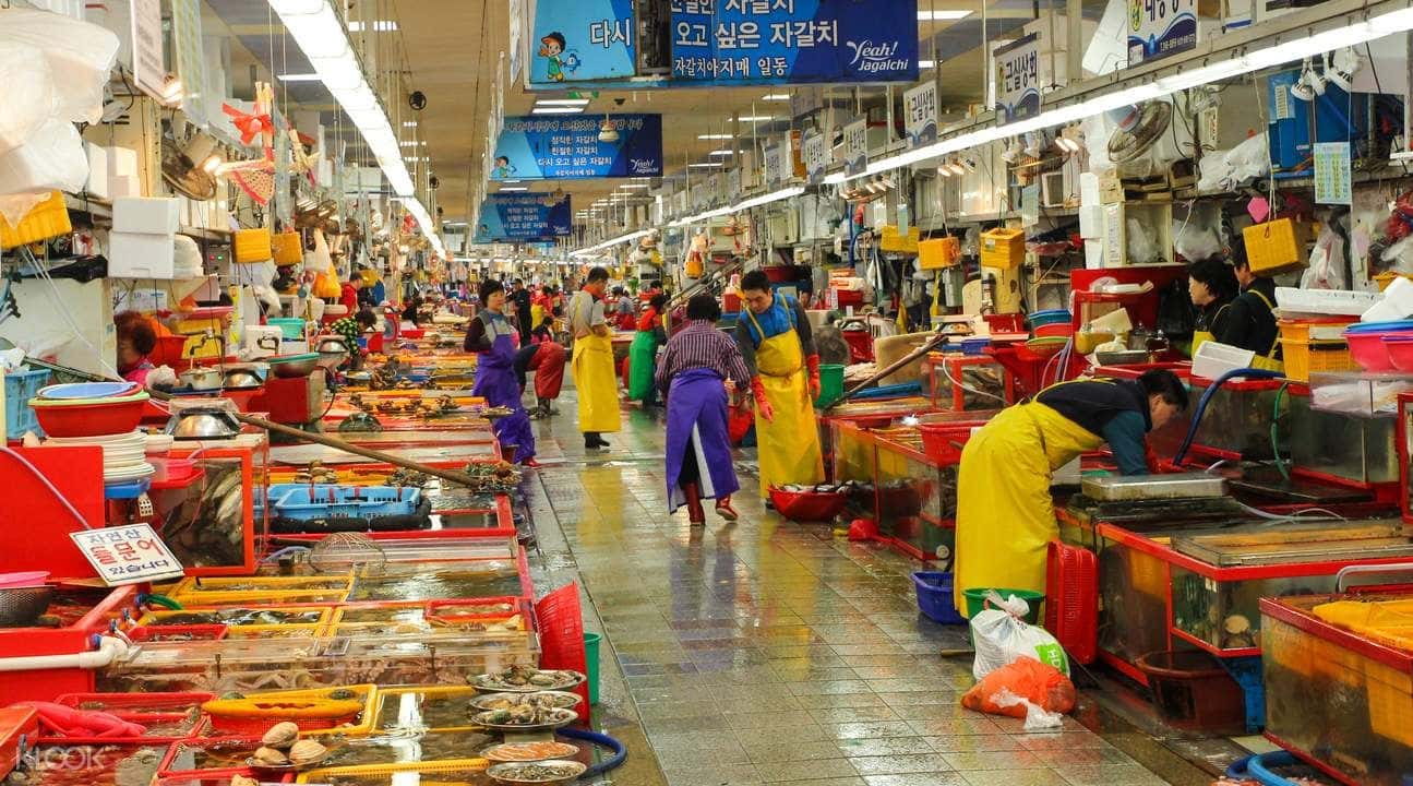 Exploring Busan Full Day Tour4