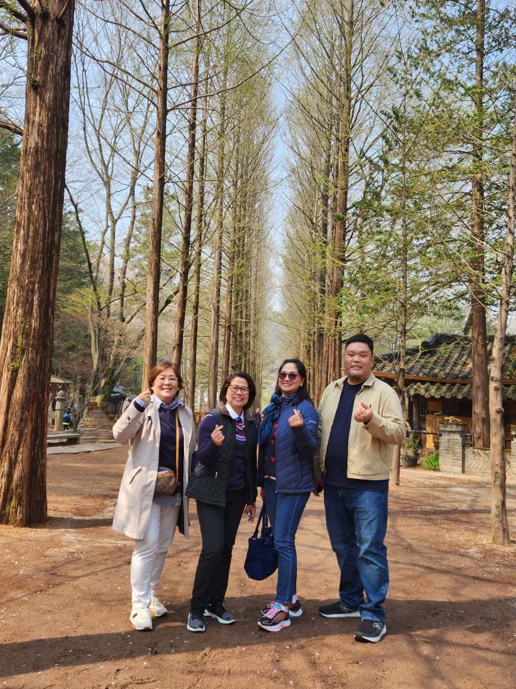 Full Day Nami island Tour from Seoul3